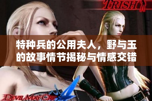 特种兵的公用夫人，野与玉的故事情节揭秘与情感交错