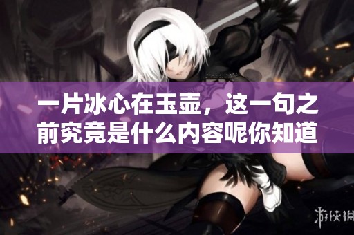 一片冰心在玉壶，这一句之前究竟是什么内容呢你知道吗