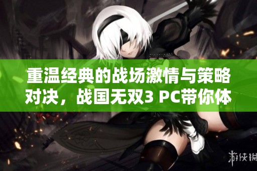 重温经典的战场激情与策略对决，战国无双3 PC带你体验无与伦比的精彩！