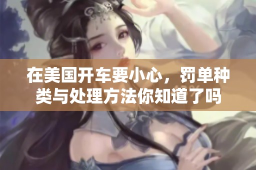 在美国开车要小心，罚单种类与处理方法你知道了吗