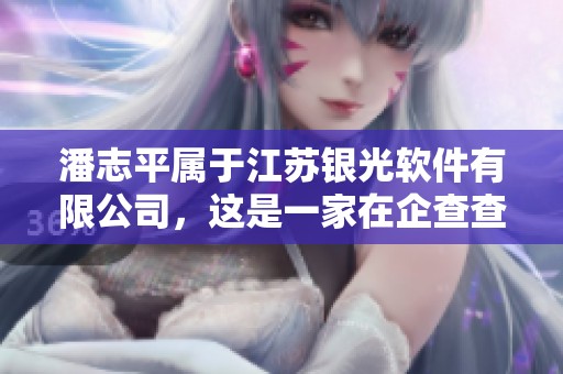 潘志平属于江苏银光软件有限公司，这是一家在企查查上可查询的公司