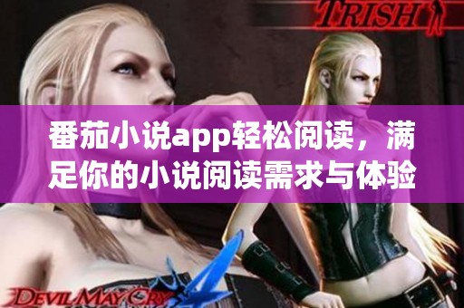 番茄小说app轻松阅读，满足你的小说阅读需求与体验