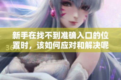 新手在找不到准确入口的位置时，该如何应对和解决呢