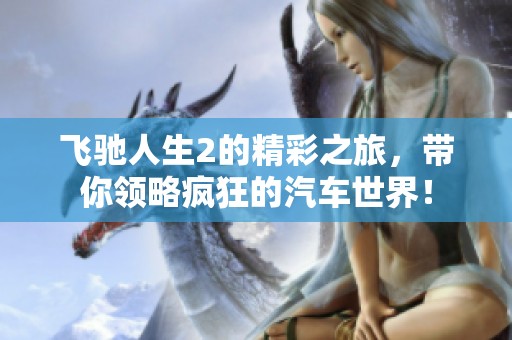飞驰人生2的精彩之旅，带你领略疯狂的汽车世界！