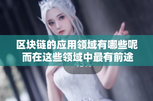 区块链的应用领域有哪些呢 而在这些领域中最有前途的职业是什么呢