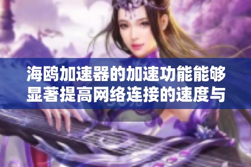 海鸥加速器的加速功能能够显著提高网络连接的速度与稳定性