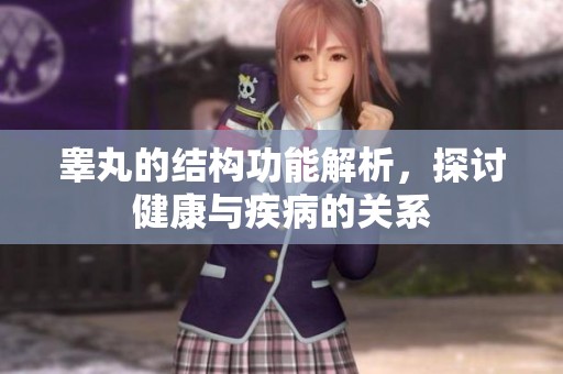 睾丸的结构功能解析，探讨健康与疾病的关系