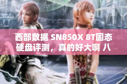 西部数据 SN850X 8T固态硬盘评测，真的好大啊 八测重磅来袭！