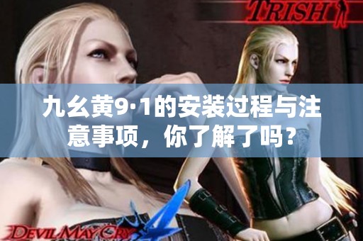 九幺黄9·1的安装过程与注意事项，你了解了吗？
